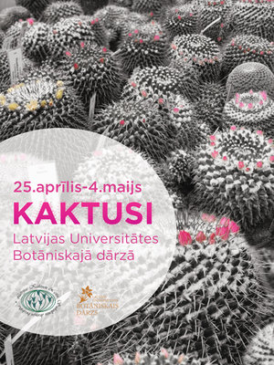 kaktusi web-1.jpg